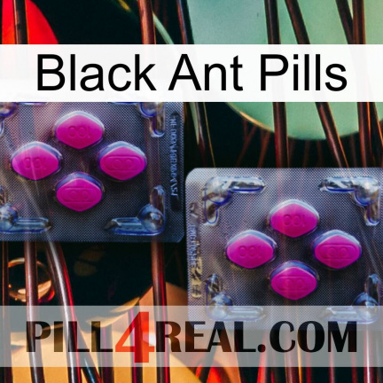 Black Ant Pills 01